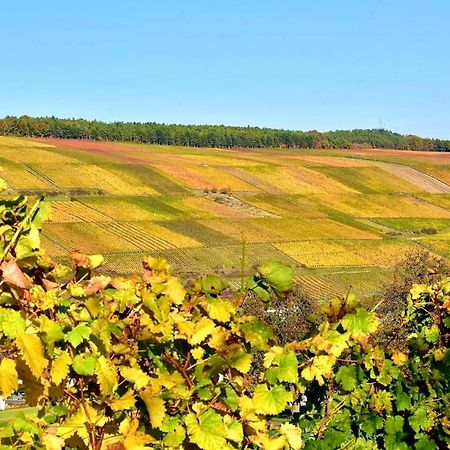 Ferienwohnungen Etzl Bad Mergentheim Exterior foto